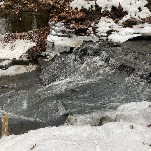 Meet your Posher, Cassidy - Picture 1 of 1